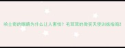 哈士奇的眼睛为什么让人害怕毛茸茸的微笑天使训练指南
