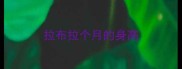 拉布拉个月的身高