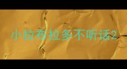 小拉布拉多不听话