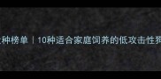 最温顺犬种榜单10种适合家庭饲养的低攻击性狗狗科普