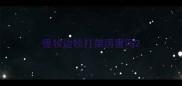 德牧边牧打架厉害吗