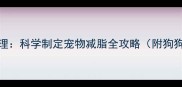 2个月法斗体重管理科学制定宠物减脂全攻略附狗狗猫咪具体方案
