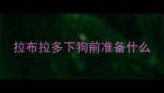 拉布拉多下狗前准备什么