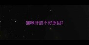 猫咪肝脏不好原因