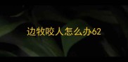 边牧咬人怎么办6