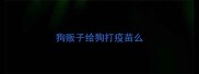 狗贩子给狗打疫苗么