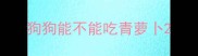 狗狗能不能吃青萝卜