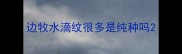 边牧水滴纹很多是纯种吗
