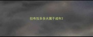 拉布拉多多大属于成年