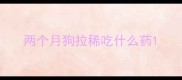 两个月狗拉稀吃什么药