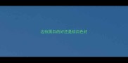 边牧黑白的好还是棕白色好