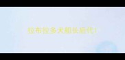 拉布拉多犬船长后代