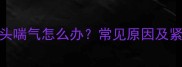 哈士奇伸舌头喘气怎么办常见原因及紧急处理指南