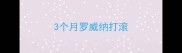 3个月罗威纳打滚