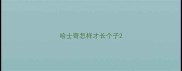 哈士奇怎样才长个子