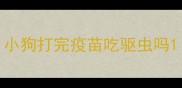 小狗打完疫苗吃驱虫吗