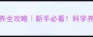 2个月狗狗喂养全攻略新手必看科学养宠避免踩坑