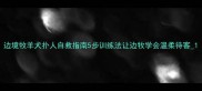 边境牧羊犬扑人自救指南5步训练法让边牧学会温柔待客1