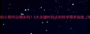 刚满月的小狗可以喝水吗5大关键时间点和科学喂养指南附图