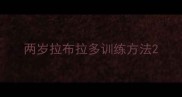 两岁拉布拉多训练方法