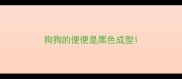 狗狗的便便是黑色成型