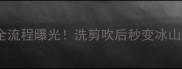 哈士奇洗澡美容全流程曝光洗剪吹后秒变冰山王子引全网热议