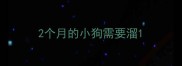 2个月的小狗需要溜