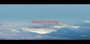 狗狗疫苗注射价格