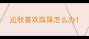 边牧喜欢踩屎怎么办