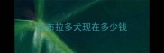 拉布拉多犬现在多少钱