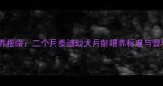 科学喂养指南二个月泰迪幼犬月龄喂养标准与营养方案