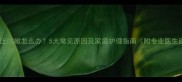 小狗早上咳嗽怎么办5大常见原因及家庭护理指南附专业医生建议