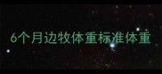 6个月边牧体重标准体重