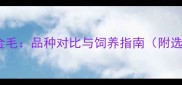拉布拉多vs短毛金毛品种对比与饲养指南附选购与训练技巧