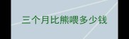 三个月比熊喂多少钱