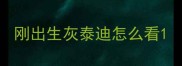 刚出生灰泰迪怎么看