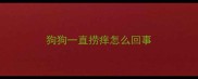 狗狗一直捞痒怎么回事