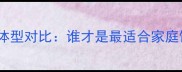 金毛与拉布拉多体型对比谁才是最适合家庭饲养的小型犬