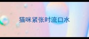 猫咪紧张时流口水