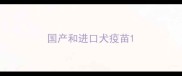 国产和进口犬疫苗