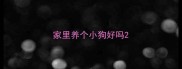 家里养个小狗好吗