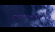 拉布拉多和金毛体型