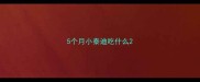 5个月小泰迪吃什么