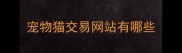 宠物猫交易网站有哪些