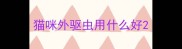 猫咪外驱虫用什么好