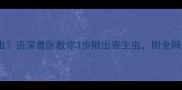 狗狗腹泻拉长虫资深兽医教你3步揪出寄生虫附全网最全驱虫指南