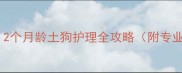 幼犬剪毛最佳时机2个月龄土狗护理全攻略附专业美容师操作指南