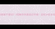边牧换新家不爱动3招教你快速适应环境边牧训练全攻略