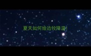夏天如何给边牧降温