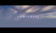 小狗细小总是发抖